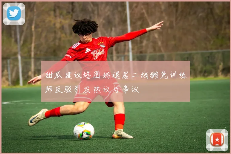 甜瓜建议塔图姆退居二线獭兔训练师反驳引发热议与争议