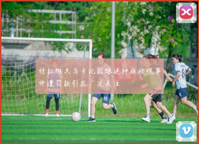 特拉维夫马卡比因球迷种族歧视事件遭罚款引发广泛关注
