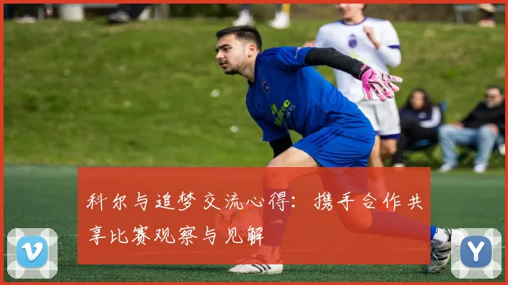 科尔与追梦交流心得：携手合作共享比赛观察与见解