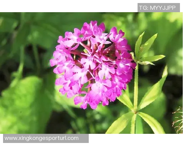 生活琐事与心灵感悟的碎碎念合集三十篇分享 生活琐事与心灵感悟的碎碎念合集三十篇分享